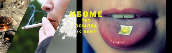 дмт Богородск