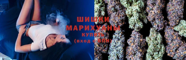 mdpv Белокуриха