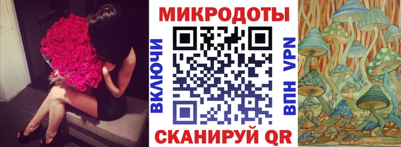 Галлюциногенные грибы GOLDEN TEACHER Болотное